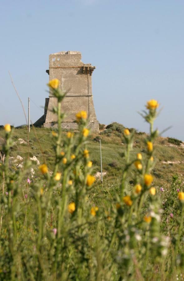Apartment Sul Mare E Sotto Le Stelle Di Roccazzelle-manfria